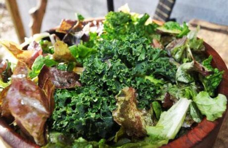 Seed Swaps, Seed Saving and Abundant Winter Veggies Image